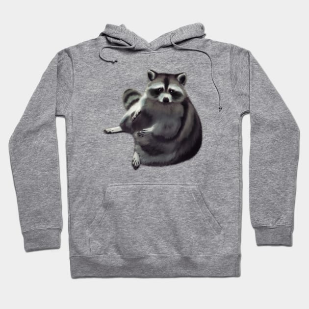 Raccoon Hoodie by ImaginativeWild